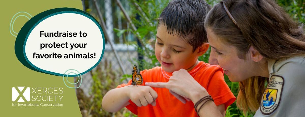 My fundraiser for Xerces